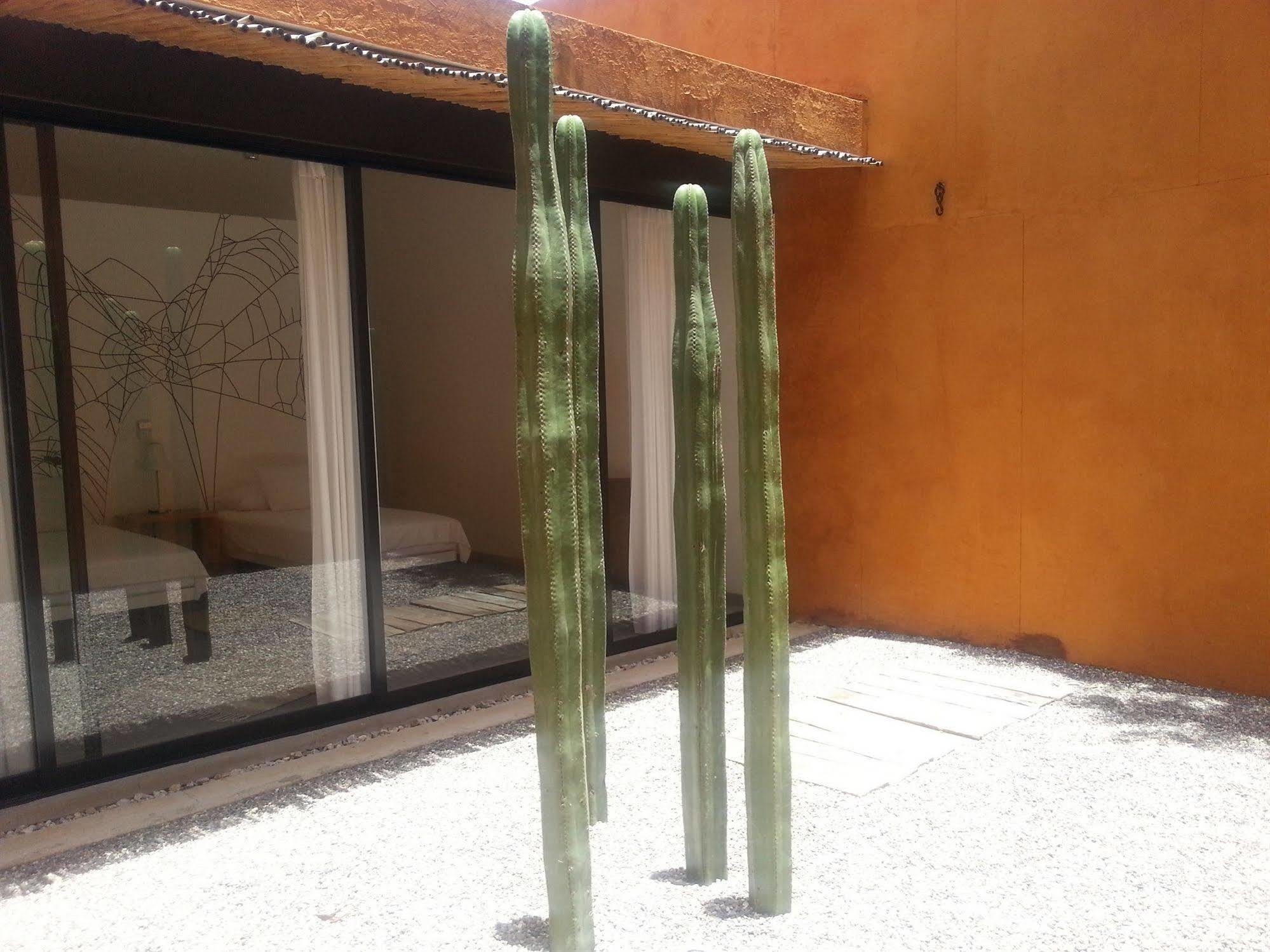 Hotel Cosijo Turismo Rural San Jerónimo Tlacochahuaya Exterior foto