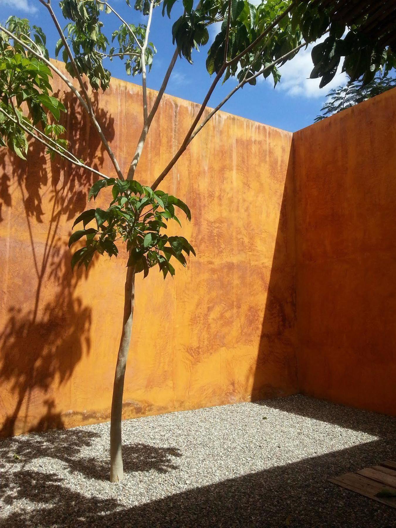 Hotel Cosijo Turismo Rural San Jerónimo Tlacochahuaya Exterior foto
